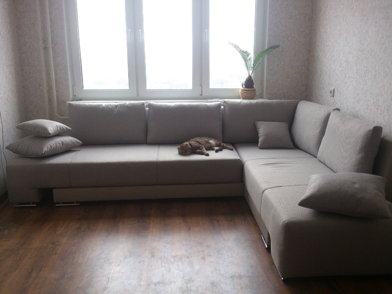 Угловой диван в углу комнаты фото