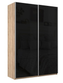 шкаф-купе 2-х дверный прайм чёрное стекло