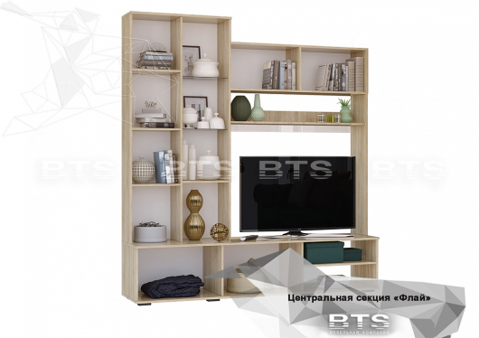 Центральная секция Флай ЦС-01 - купить за 19214.00 руб.