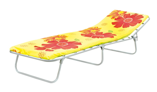 Раскладушка с матрасом Экон 600 - купить за 2400.0000 руб.