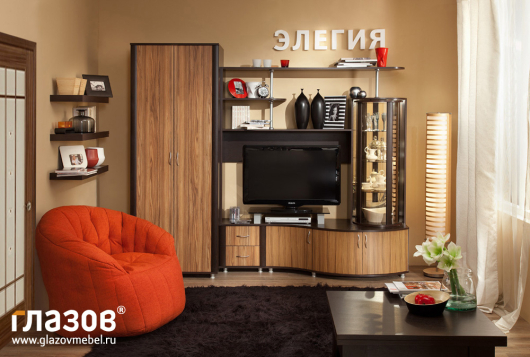Гостиная Элегия (вариант 5) - купить за 31801.0000 руб.