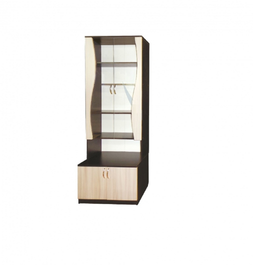 Шкаф для книг со стеклом двухдверный - купить за 0.00 руб.