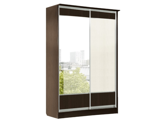 Шкаф-купе 2х дверный Токио - купить за 51683.00 руб.