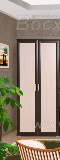 Шкаф 2-дверный Вика ВК-4 - купить за 5480.0000 руб.