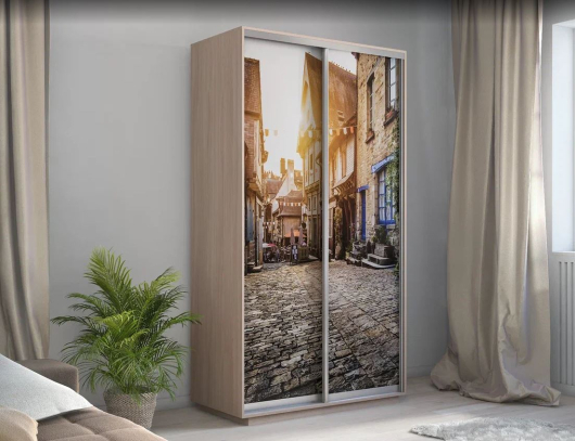Шкаф-купе 2-х дверный Экспресс Хит Фотопечать - купить за 32700.00 руб.