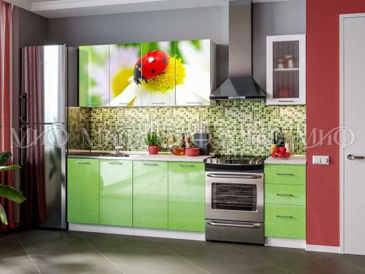 Кухня с фотопечатью Божья коровка - купить за 0.00 руб.