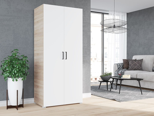 Шкаф 2-х дверный Виктор - купить за 8761.00 руб.