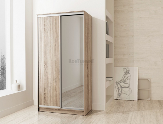 Шкаф-купе 2-х дверный с зеркалом Версаль Эко - купить за 25781.00 руб.