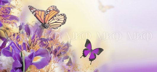 Кухня с фотопечатью Весна - купить за 0.00 руб.